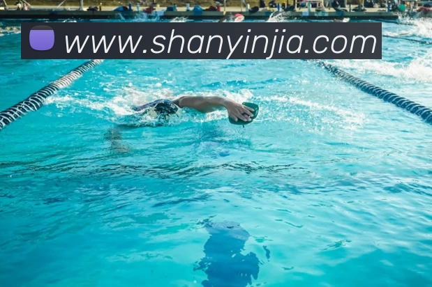 米兰在线官网APP 封面图